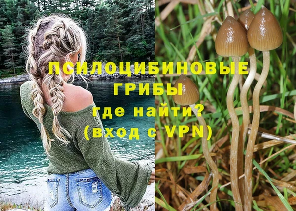 гидропоника Алзамай