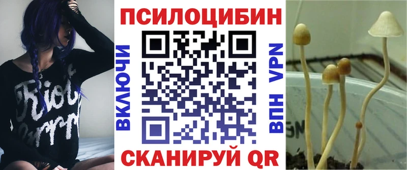 Псилоцибиновые грибы GOLDEN TEACHER  Микунь 